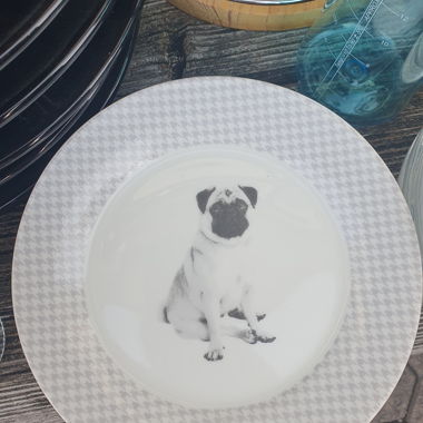 Plate Mops 6x