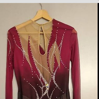 Free Skate Dress