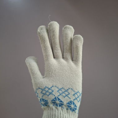 Gloves