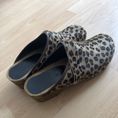 leo clogs