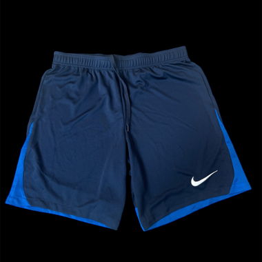 nike sport shorts