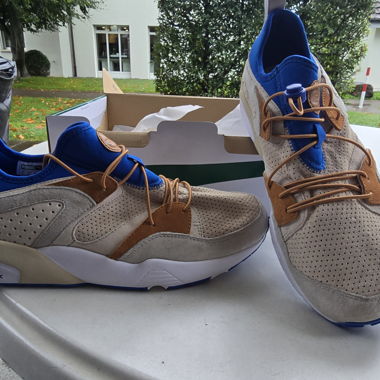 Puma Blaze of Glory 76