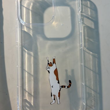 Cover trasparente per telefono con gatto (iPhone 13 Pro)