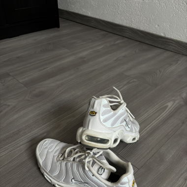 White Tn