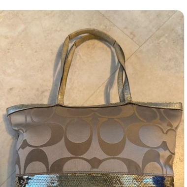 Coach bag with sequins 