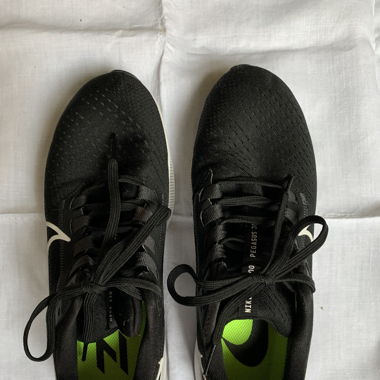 Nike Air Zoom Pegasus