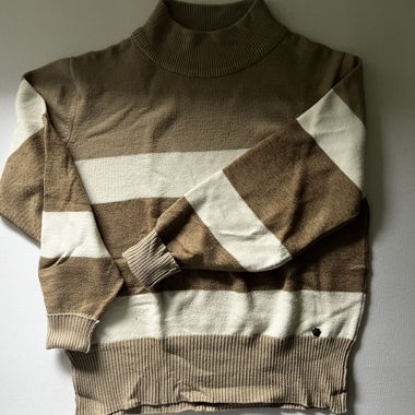 Chicory Turtleneck Sweater