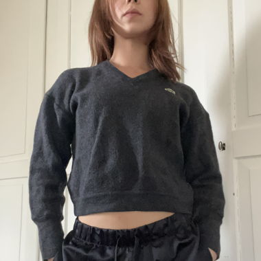 Lacoste Pullover