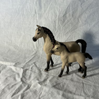 Figure di cavalli