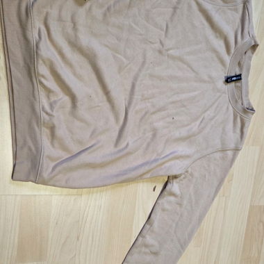 Beiger FP Sister Sweatshirt XS