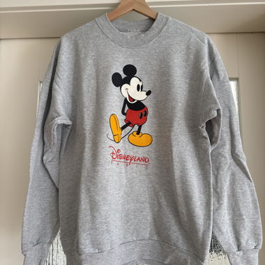 Vintage Disneyland pullover