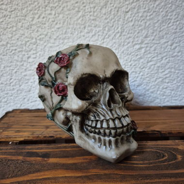 Skull