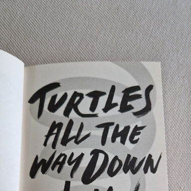 Livre Turtles all the way down English