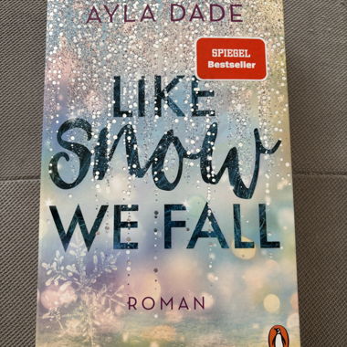 Book: Like SNOW We Fall