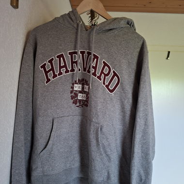 Harvard Hoodie Grau