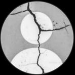 Oneoak