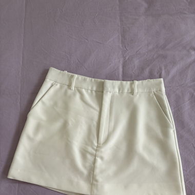 Zara Skirt/Shorts