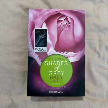 Shades of grey Buch