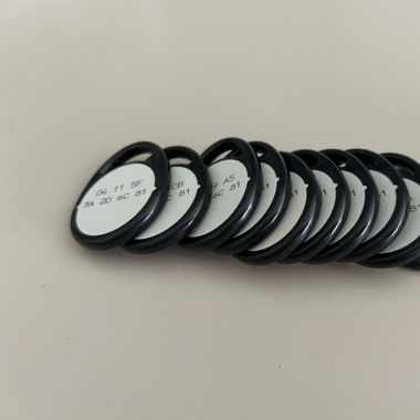 IDENTsmart RFID Token 10 Stück