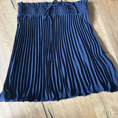 Dark Blue Pleated Skirt