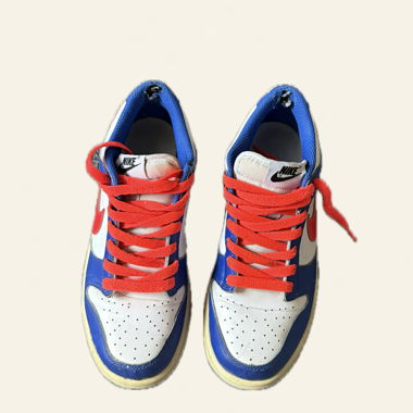 Nike Dunk Low