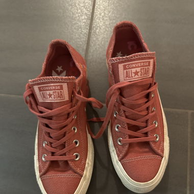 Converse rose 