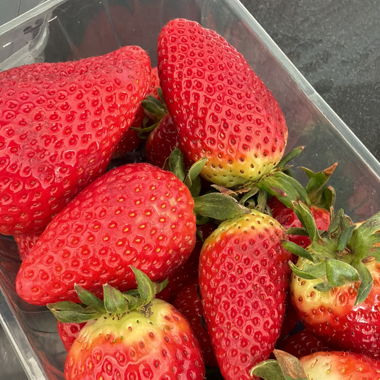 Fragole fresche