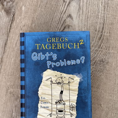 Gregs Tagebuch 2: Gibts Probleme?