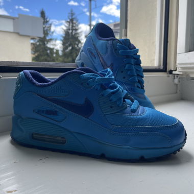 Nike Air Max blau