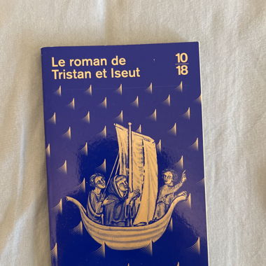 Die Geschichte von Tristan und Isolde