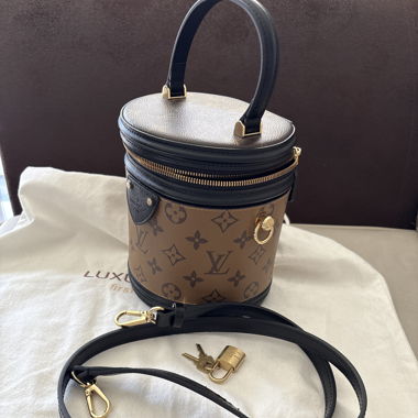 Cannes Leder Louis vuiton Tasche   