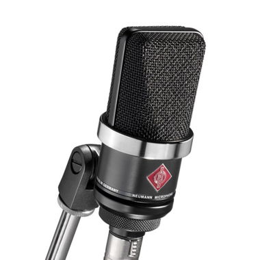 Neumann TLM 102 Microphone