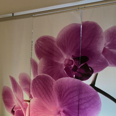 Rideau photo d’orchidées