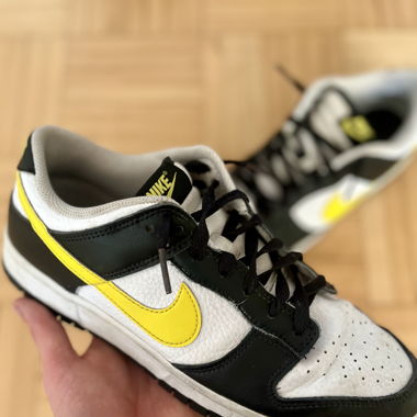 Nike Dunks