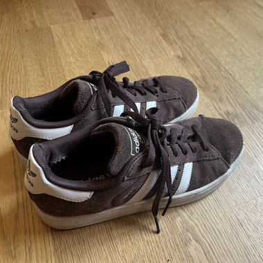 Campus Adidas marrone
