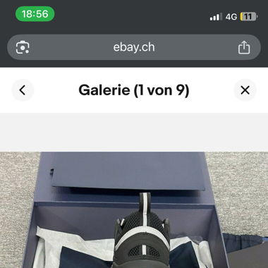 Dior b22 Reflective Black