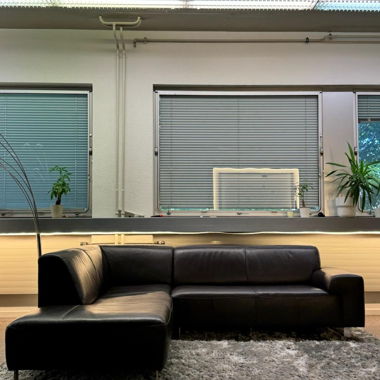 Brown Leather Sofa
