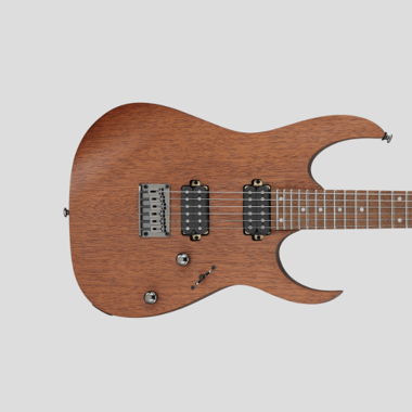 Electric Guitar