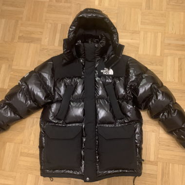 Supreme x The North Face 700 fill-down Parka