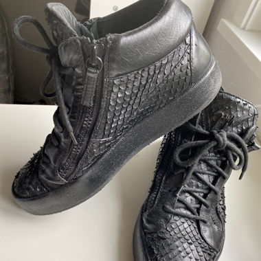 Giuseppe Zanotti