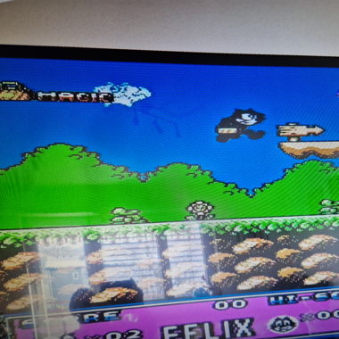 Nintendo 2 spiele 