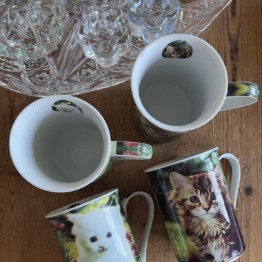 Cat Mugs (Set of 4)
