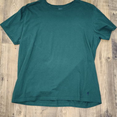 Polo Ralph Lauren T-shirt grün