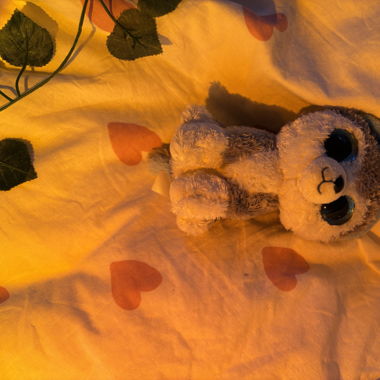 Wolf Kuscheltier 