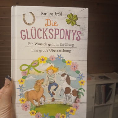 Il libro dei pony fortunati