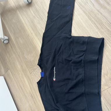 Champion Pulli