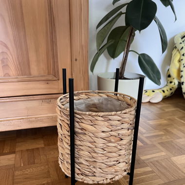 Blumentopf / Planter