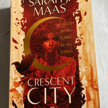 Crescent City volume 1 - Sarah J. Maas