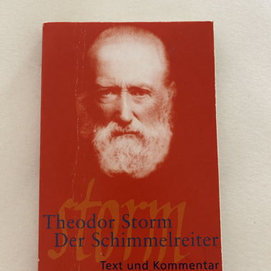 Der Schimmelreiter - Theodor Storm