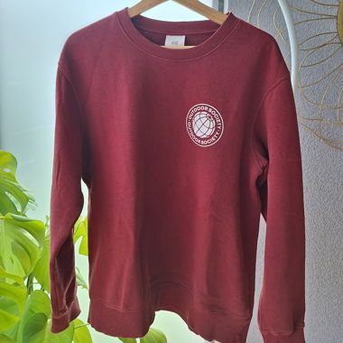 Burgundy Pullover 